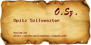 Opitz Szilveszter névjegykártya